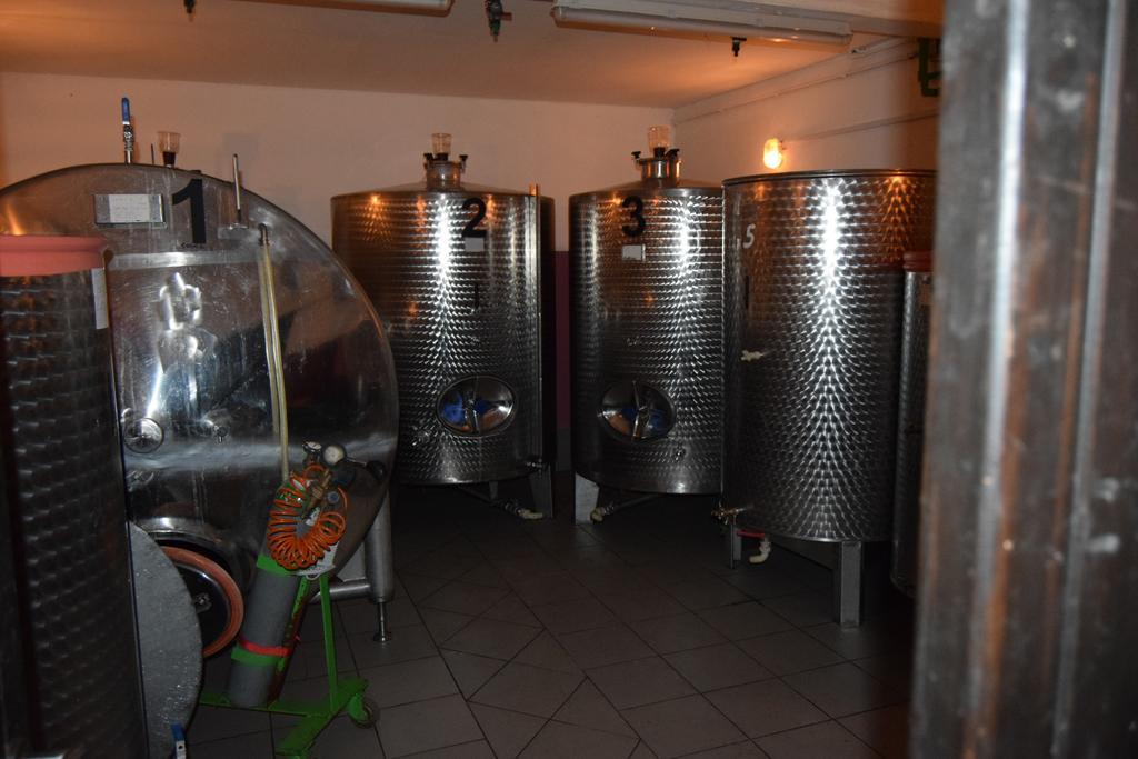 Farm Stay Frank Ozmec Wine And Glamping Estate Ljutomer Exterior foto